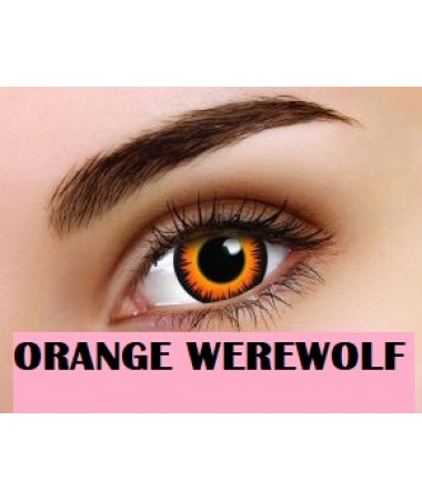 Orange Werewolf One Day Crazy Lens